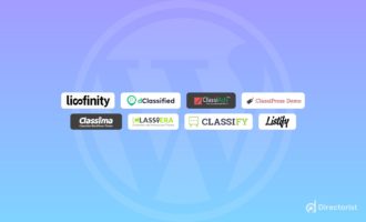 best classified wordpress theme